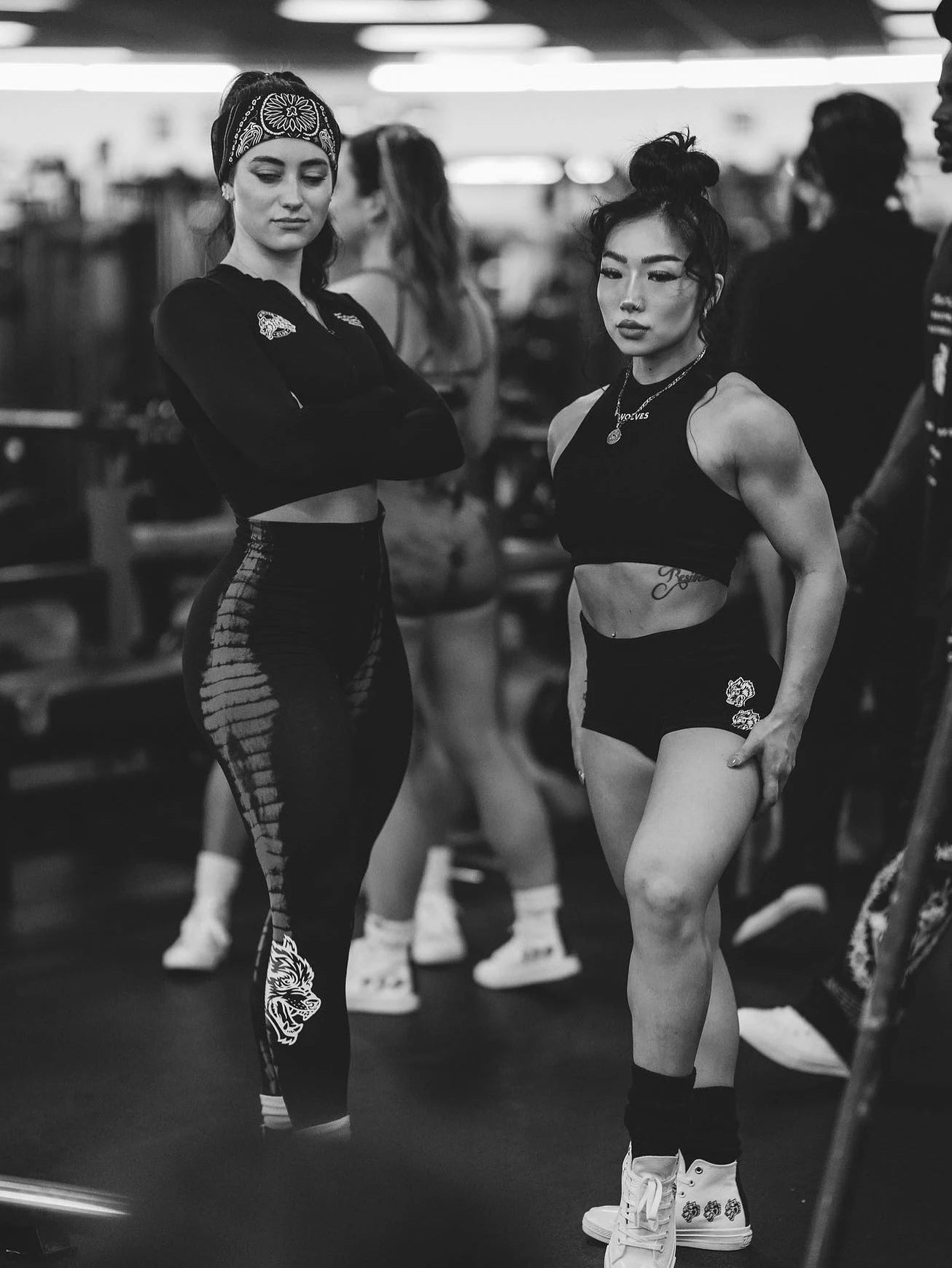 Darc Sport Wolves Gym Leggins Workout Sporty Designer Women Clothing Scrunch Tights Bottom Booty Lifting Darcsport Leggins